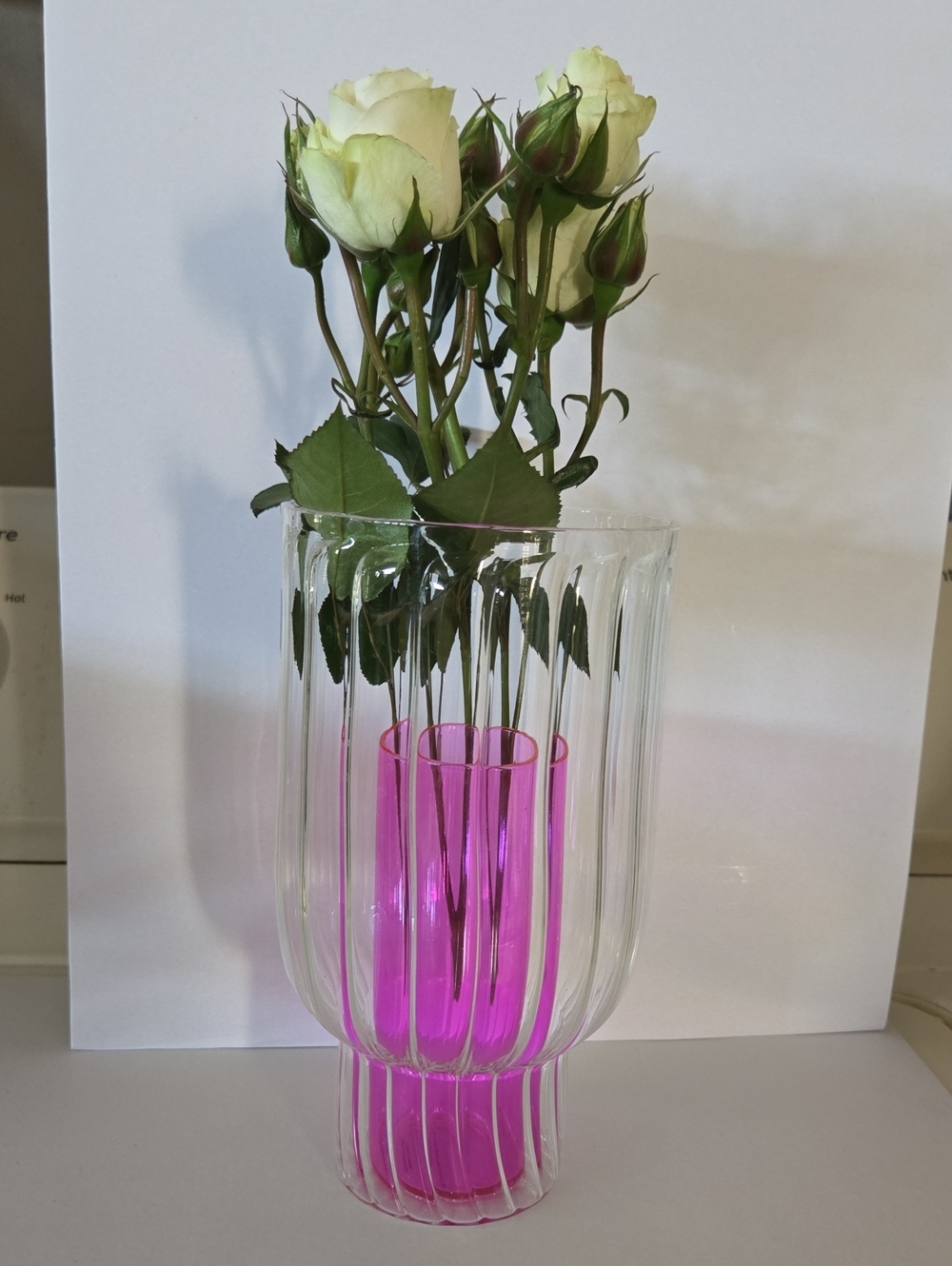 Anthropologie   Pink Glass Insert Clear Ribbed Vase -